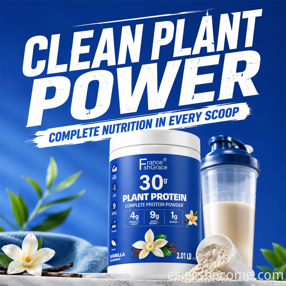 Plant Protein Powder10